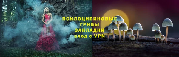 амфетамин Алексеевка