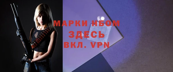 прущие грибы Аркадак