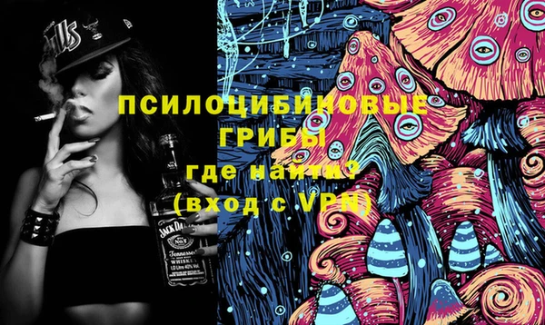 spice Арсеньев