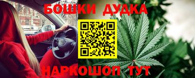 МДПВ Боровичи