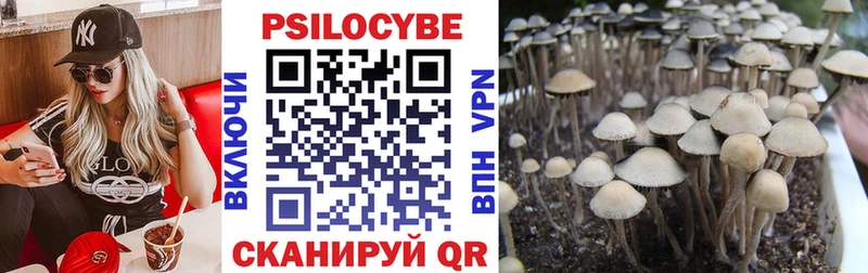 Галлюциногенные грибы ЛСД  Ахтубинск 