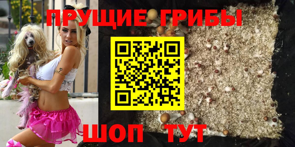 Ахтубинск  Псилоцибиновые грибы ЛСД  Вход с VPN 
